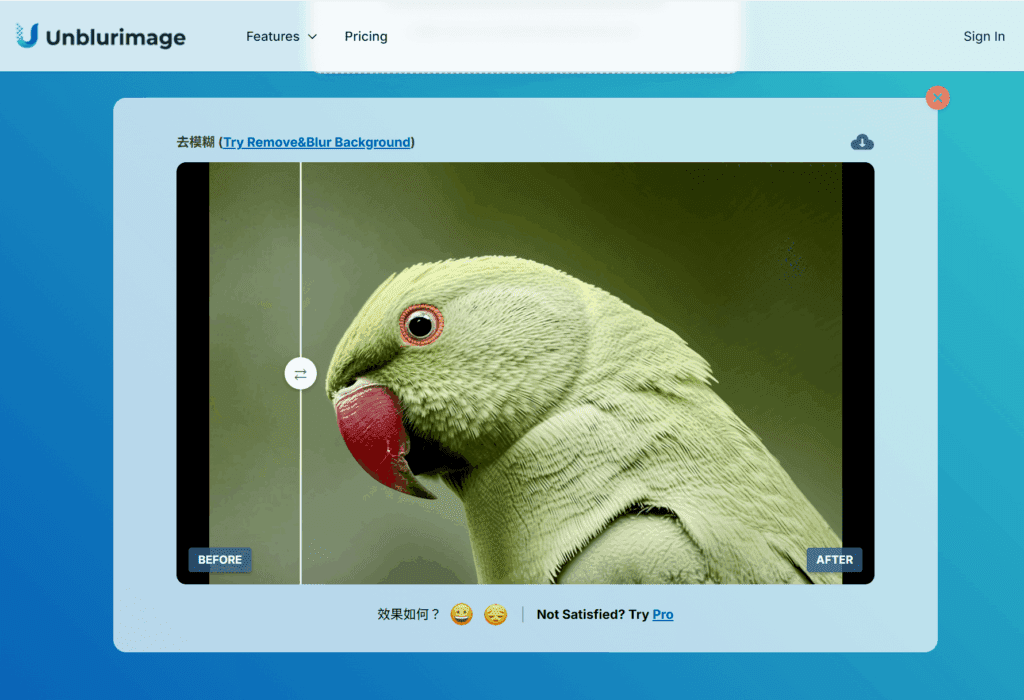 螢幕擷取畫面 2025 07 05 125334